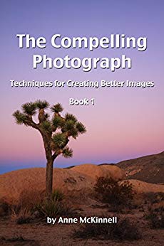 The Compelling Photograph: Techniques for Creating Better Images (Book 1)